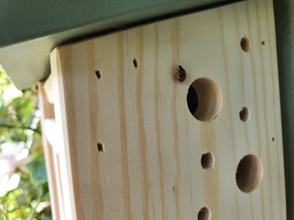 Green Gardener Ladybird Barn - Green Gardener