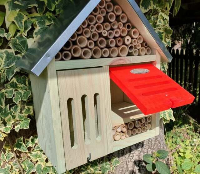 Beneficial Insect Houses | Ideal for Bees | Green Gardener