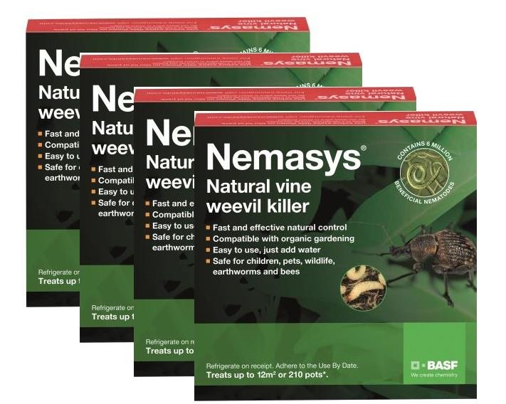 Buy Vine weevil killer nematodes: Delivery by Crocus