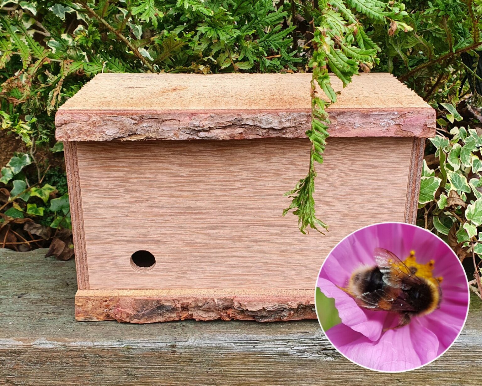 bumble-bee-nest-box-green-gardener